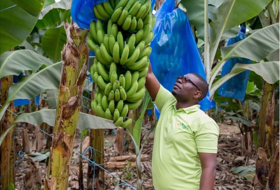 Turiagro Vitaminando Angola